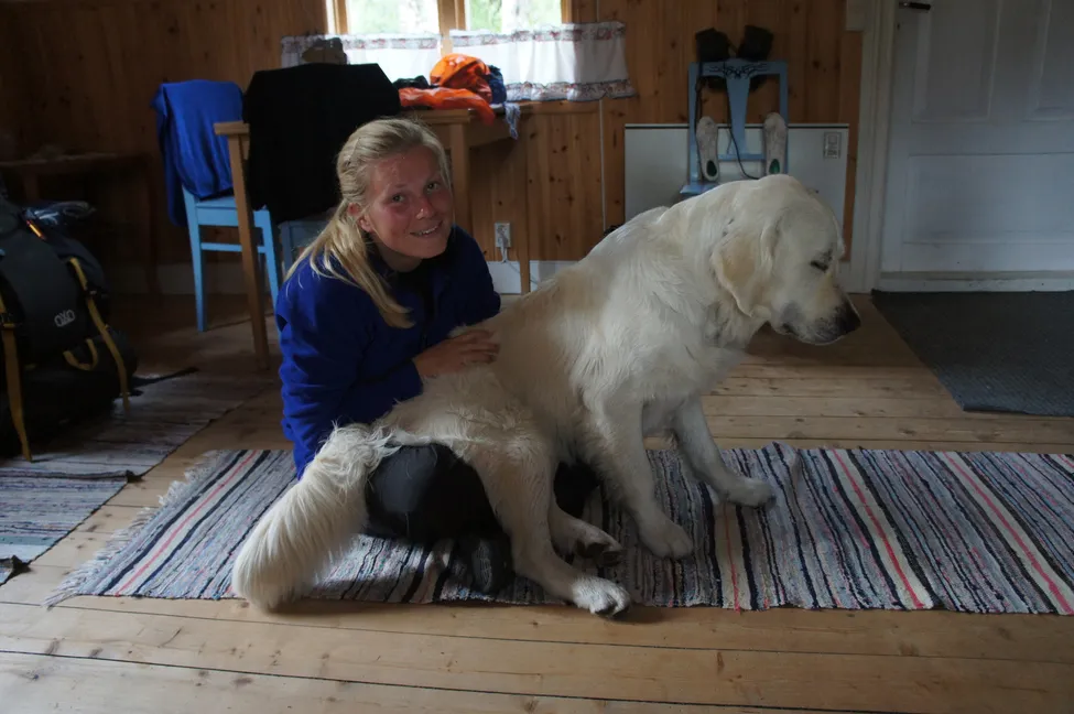 Klicka för att förstora