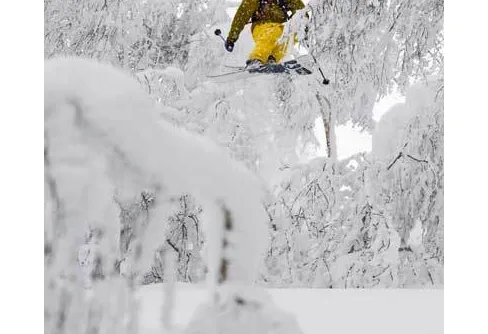 Dokumentärfilm om Henrik Windstedt