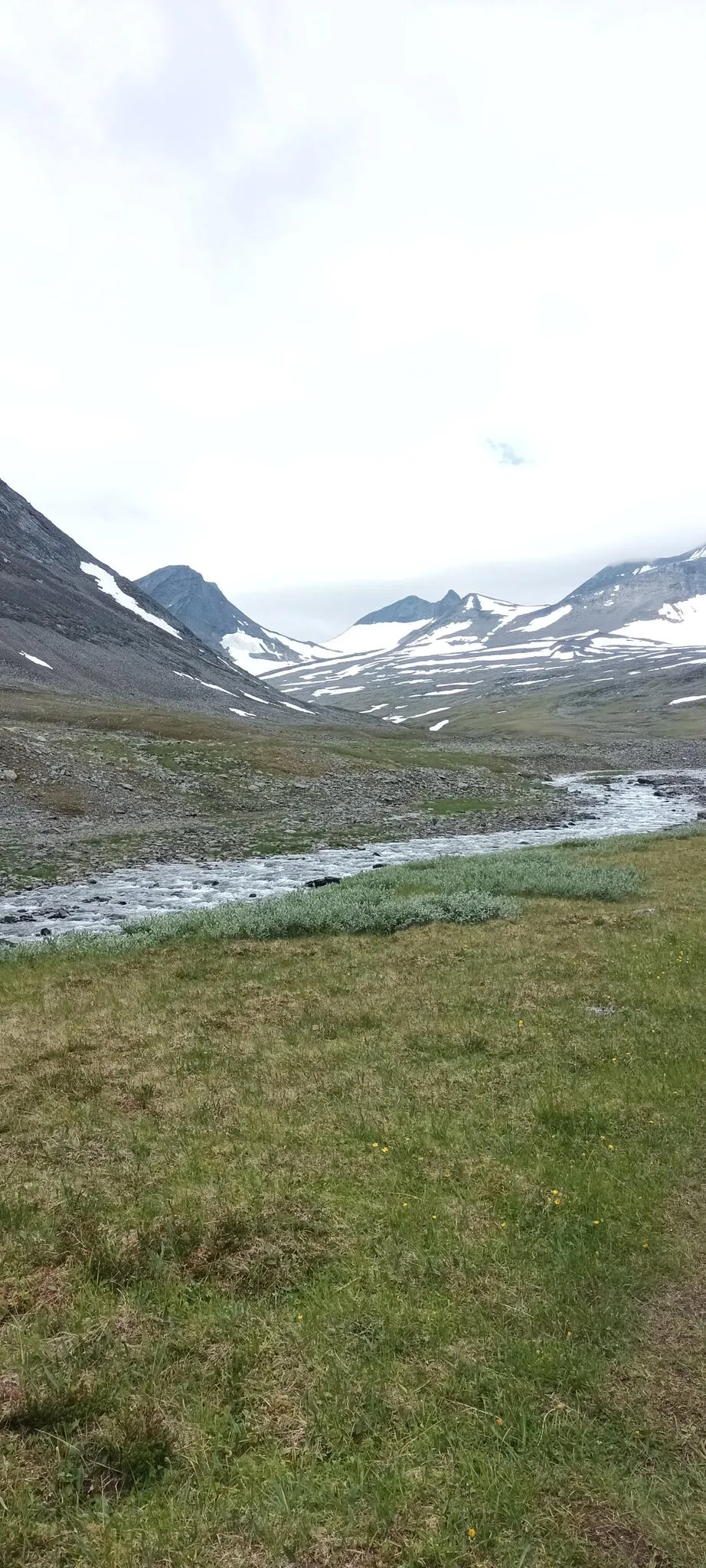 Klicka för att förstora