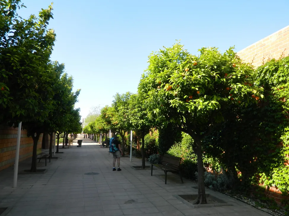 Klicka för att förstora