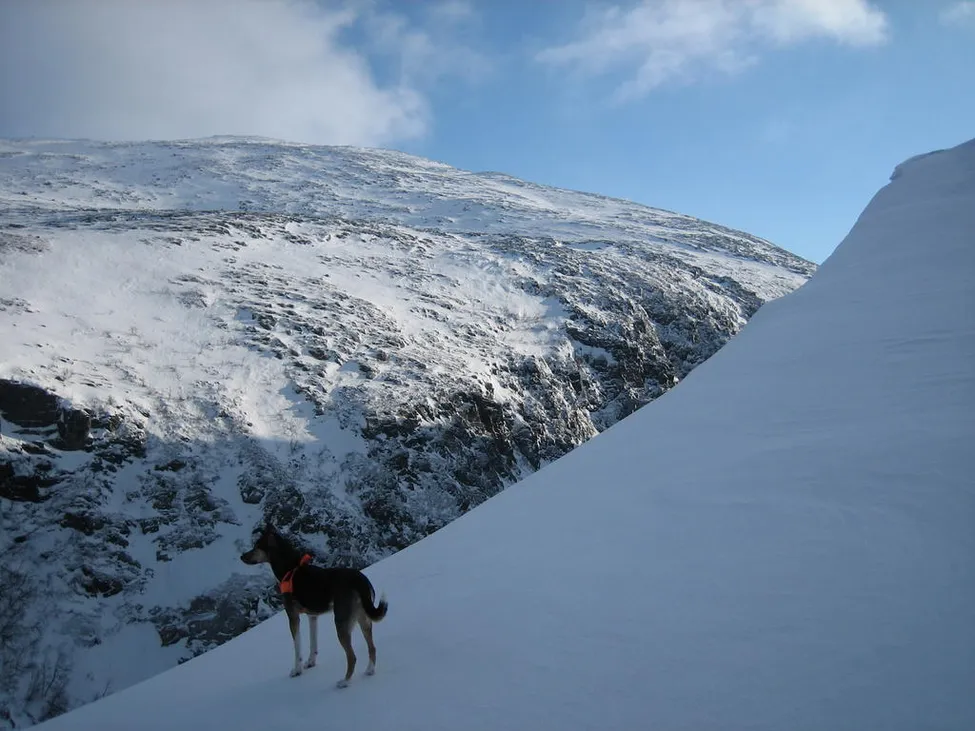 Klicka för att förstora