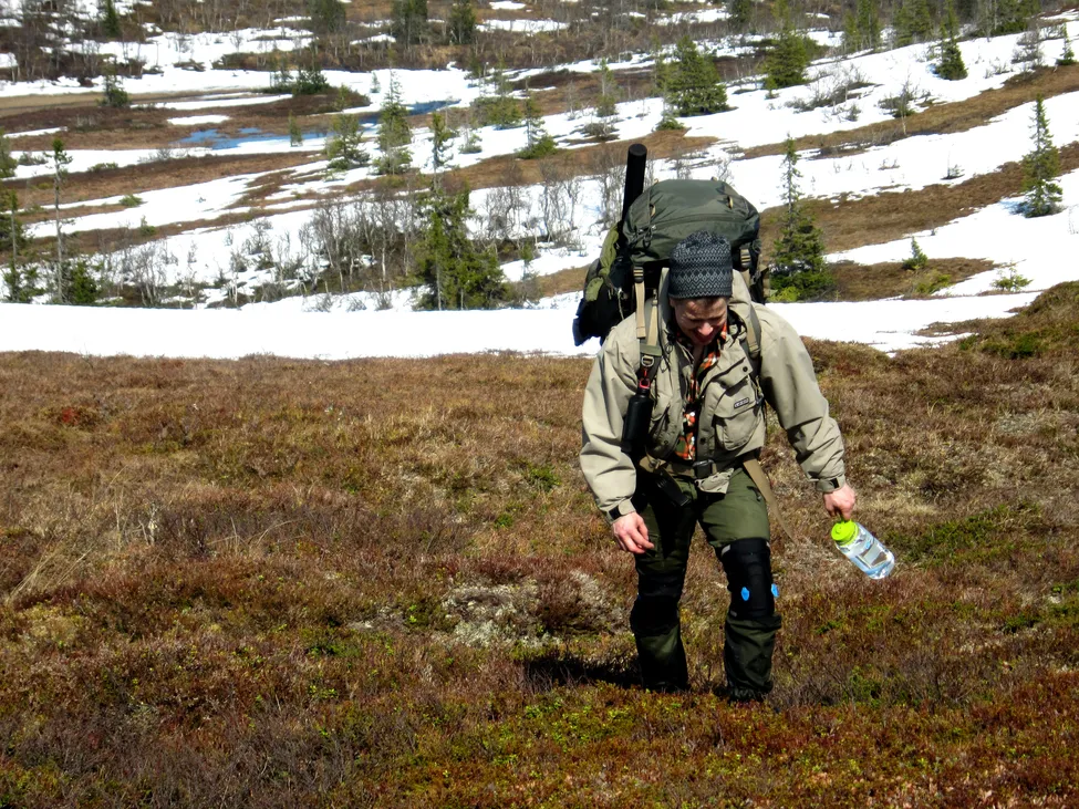 Klicka för att förstora