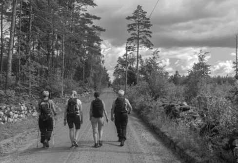 Ivön - Svarta döden på den vita ön.