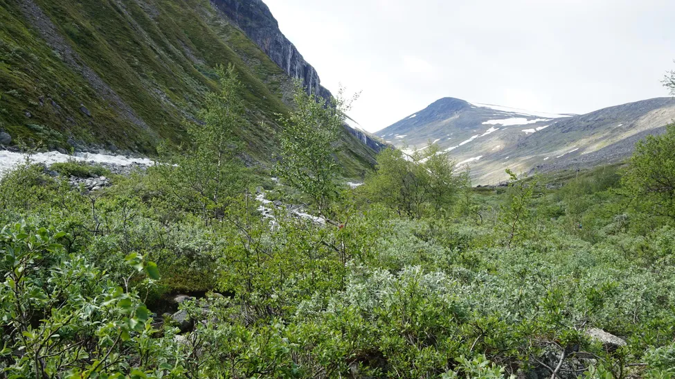Klicka för att förstora