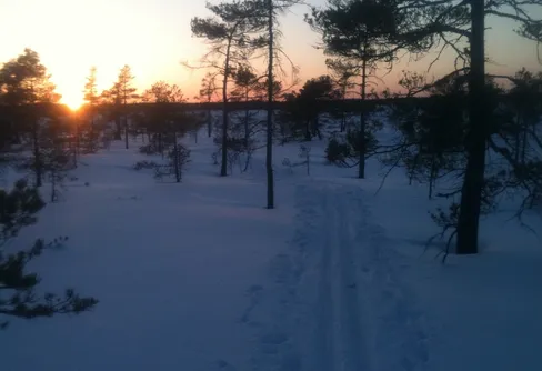 Friluftslivets höjdpunkter 2013