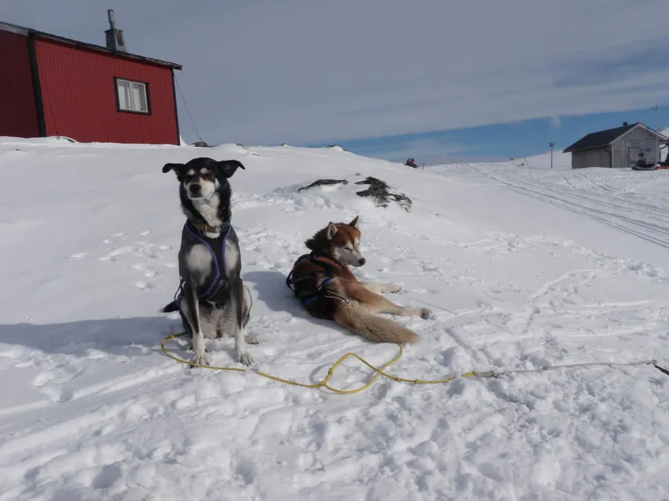Klicka för att förstora