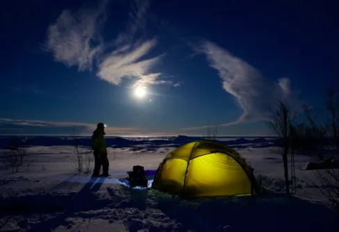 Bottenvikens vita vidder