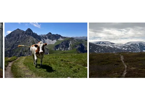 Vinnarna i tävlingen 