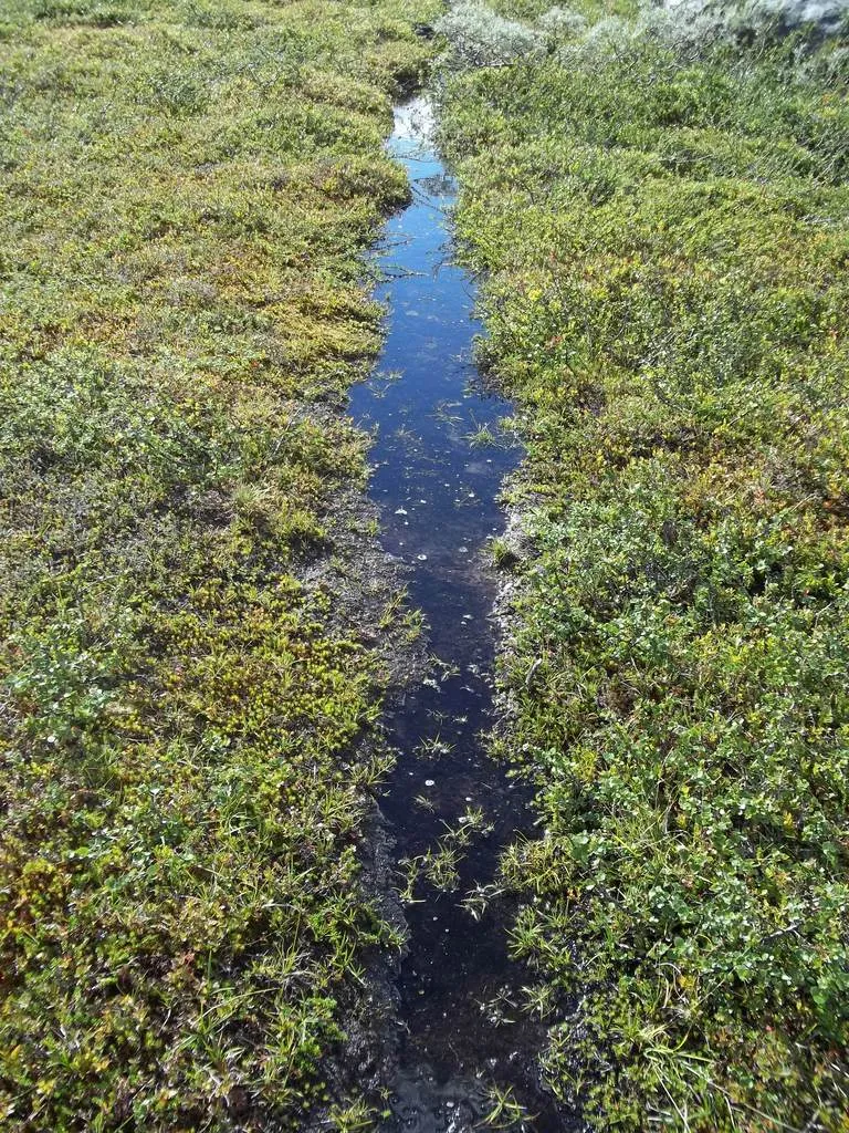 Klicka för att förstora