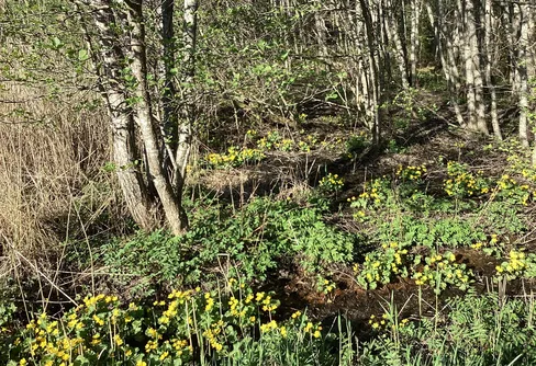 Lökholmen, Geta, Åland