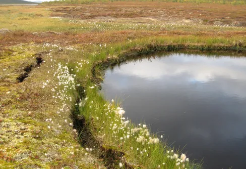 Kollaps av permafrost ökar utsläppen av växthusgaser
