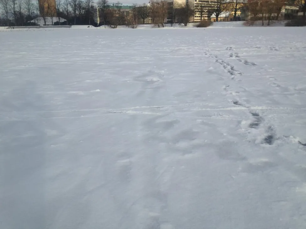 Klicka för att förstora