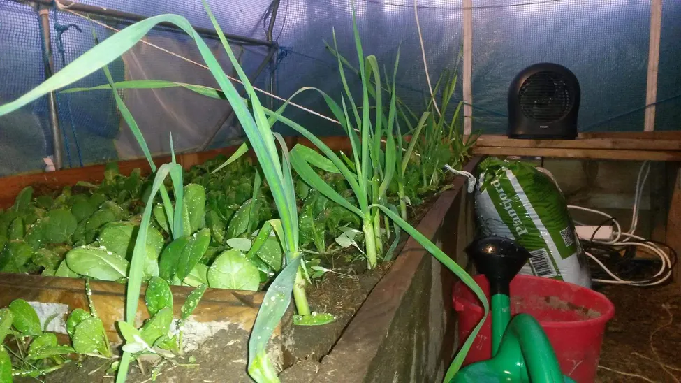 Klicka för att förstora