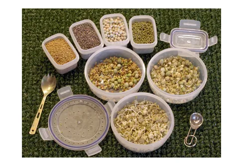 Råkost som gror i ryggsekken