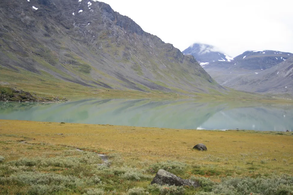 Klicka för att förstora