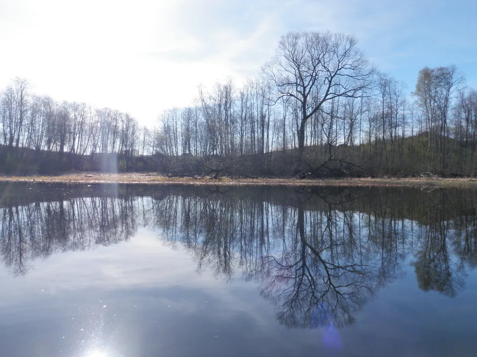 Klicka för att förstora
