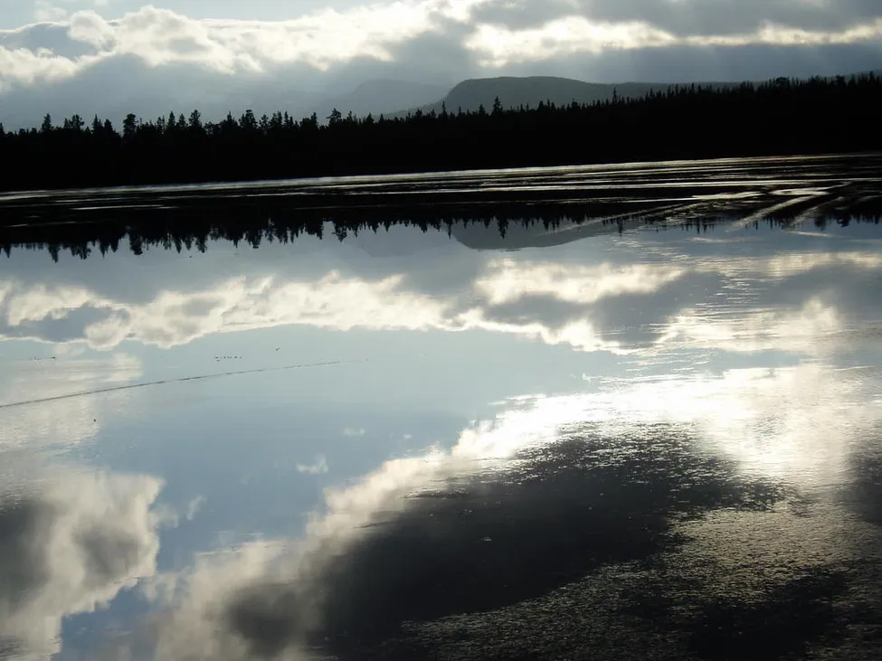 Klicka för att förstora