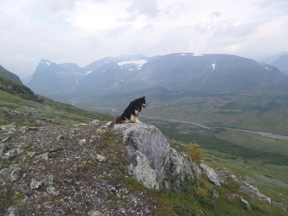 Klicka för att förstora