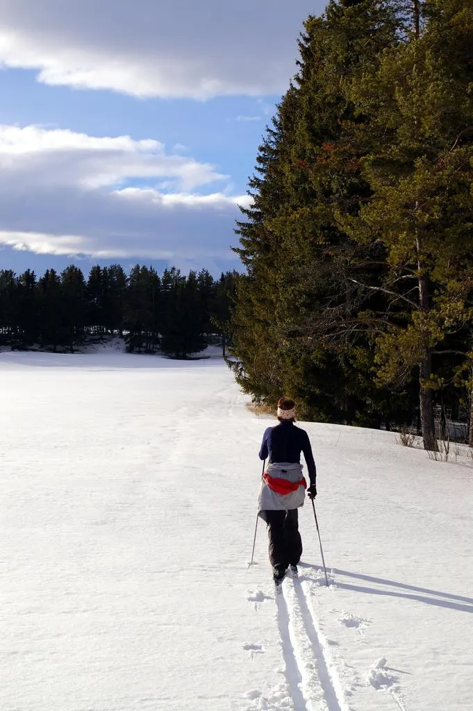 Klicka för att förstora
