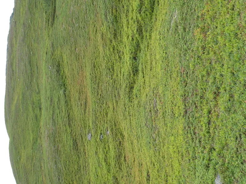 Klicka för att förstora