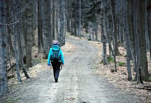 Bra saker att ha med på dagsturen