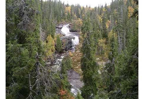 Fjällnatur vid Stekenjokk blir naturreservat