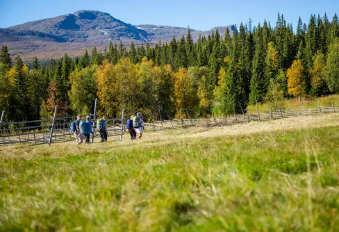 Åre satsar stort på vandring