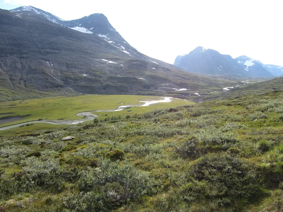 Klicka för att förstora