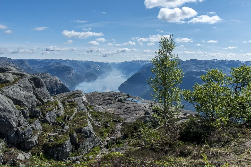 Klicka för att förstora