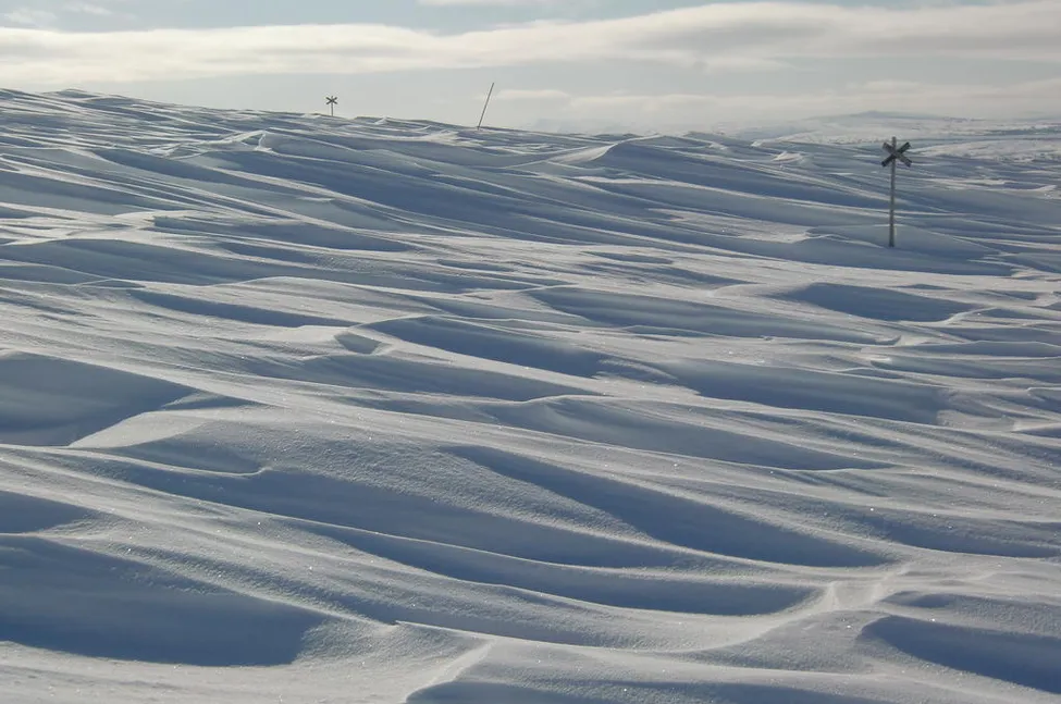 Klicka för att förstora