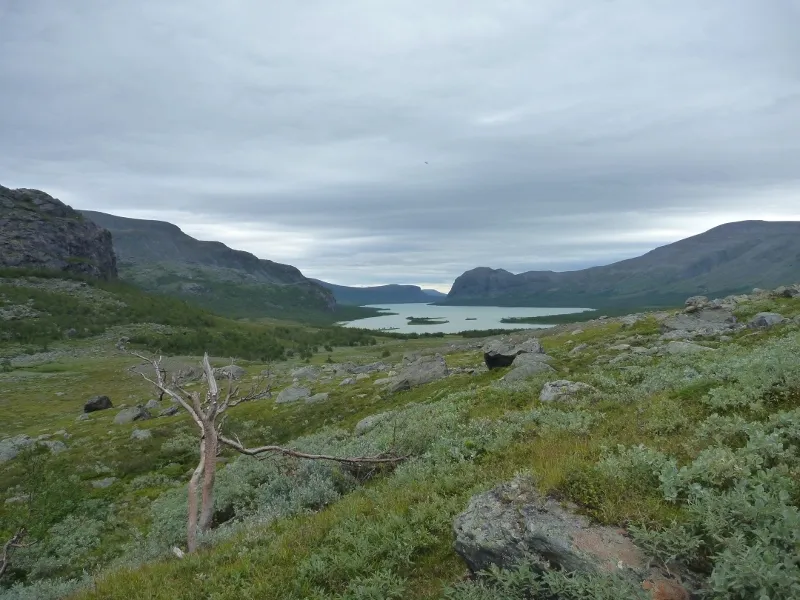 Klicka för att förstora