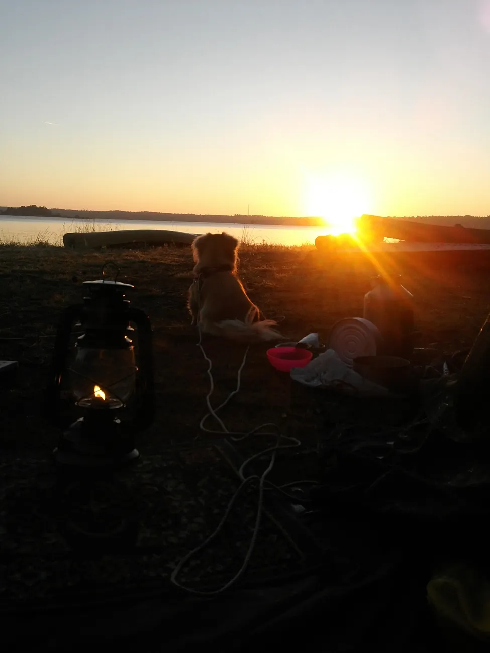 Klicka för att förstora