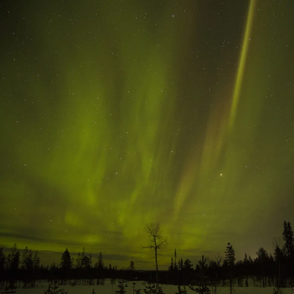 Klicka för att förstora