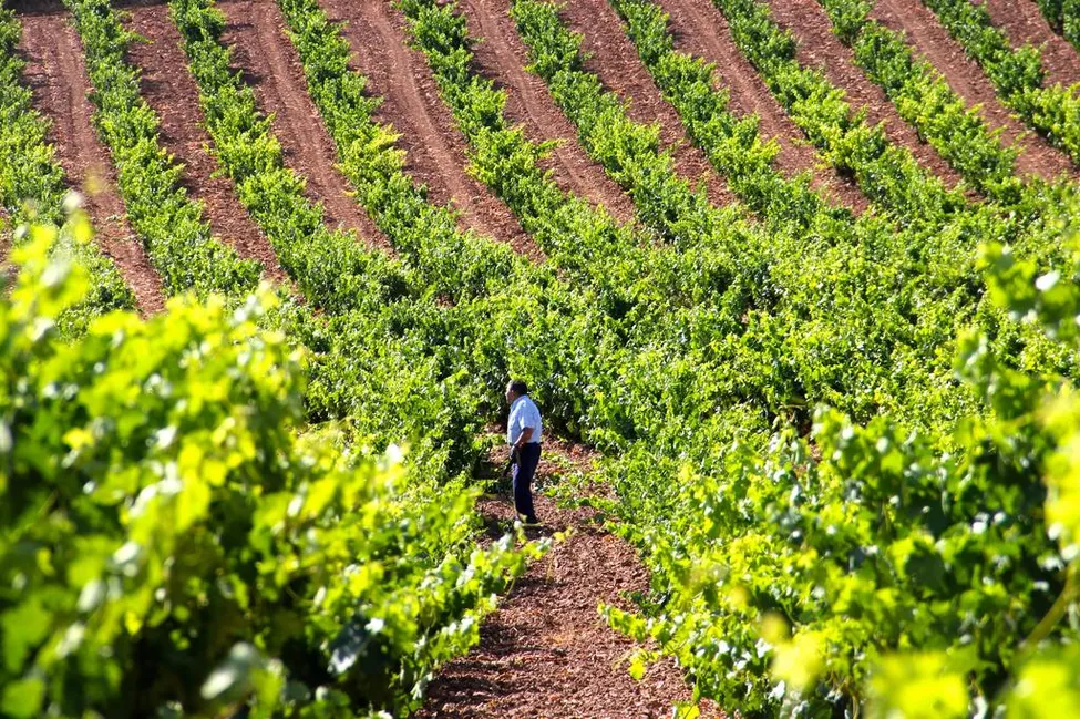 Klicka för att förstora