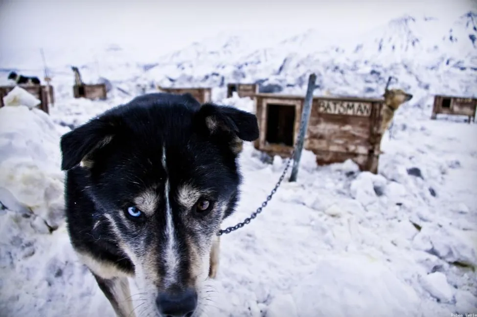 Klicka för att förstora