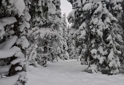 Skidtur i Gyllbergen
