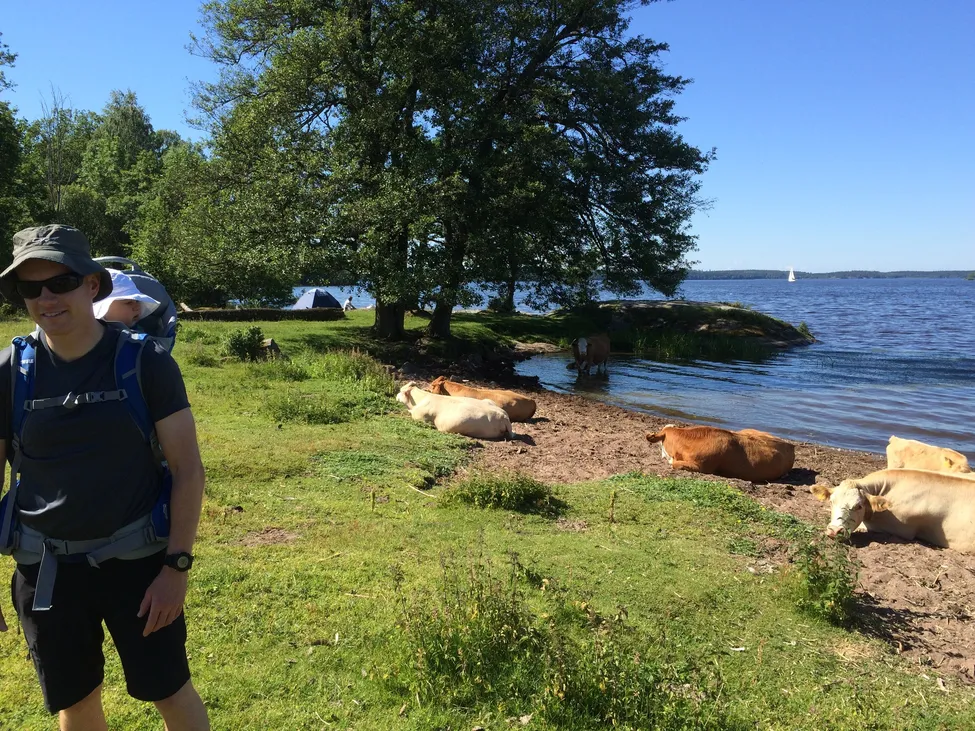 Klicka för att förstora