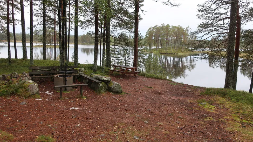 Klicka för att förstora