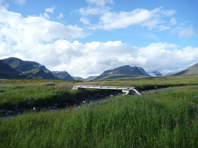 Klicka för att förstora
