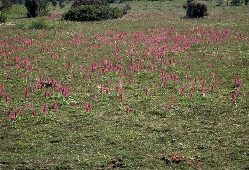 Tanklöst, Omoget och Egoistiskt.