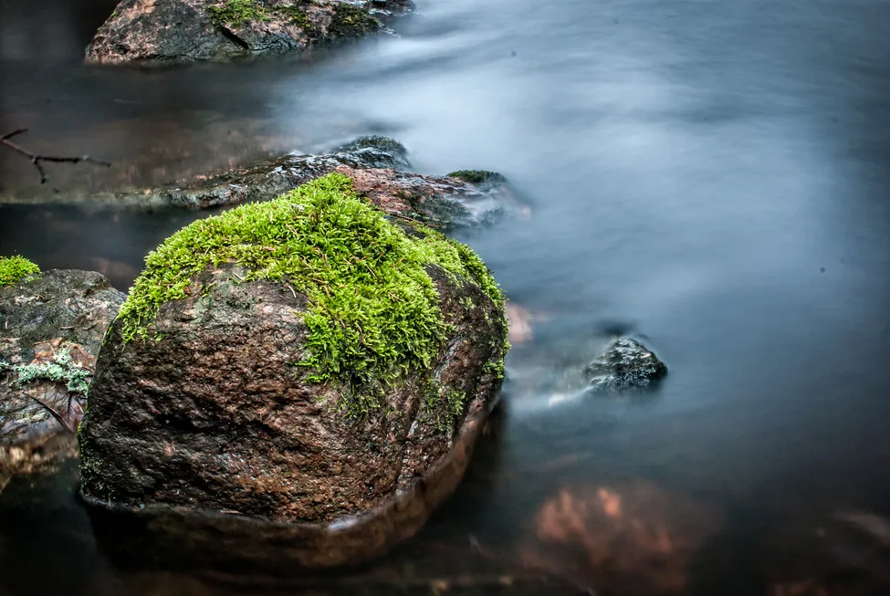 Klicka för att förstora