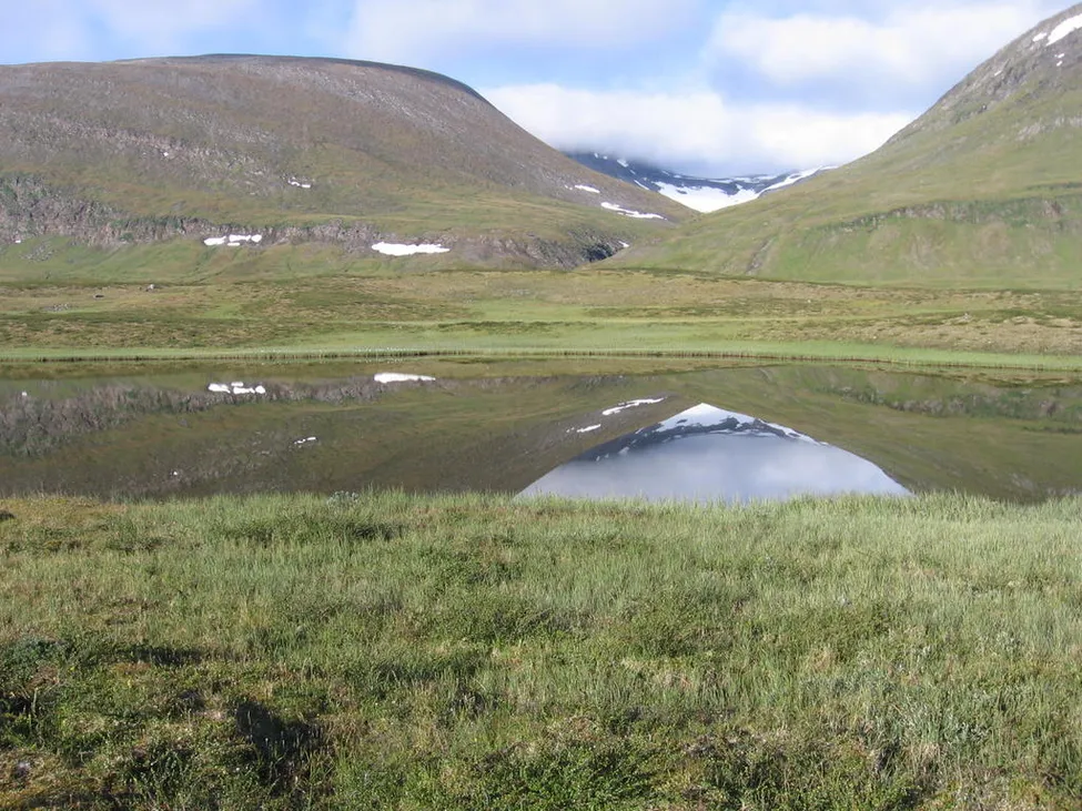 Klicka för att förstora