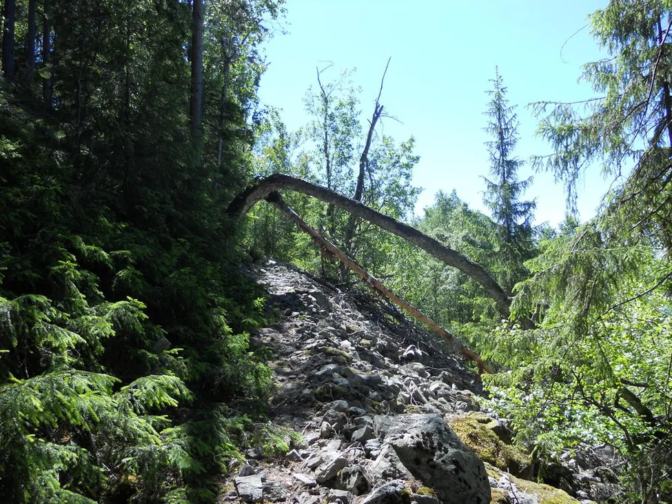 Klicka för att förstora