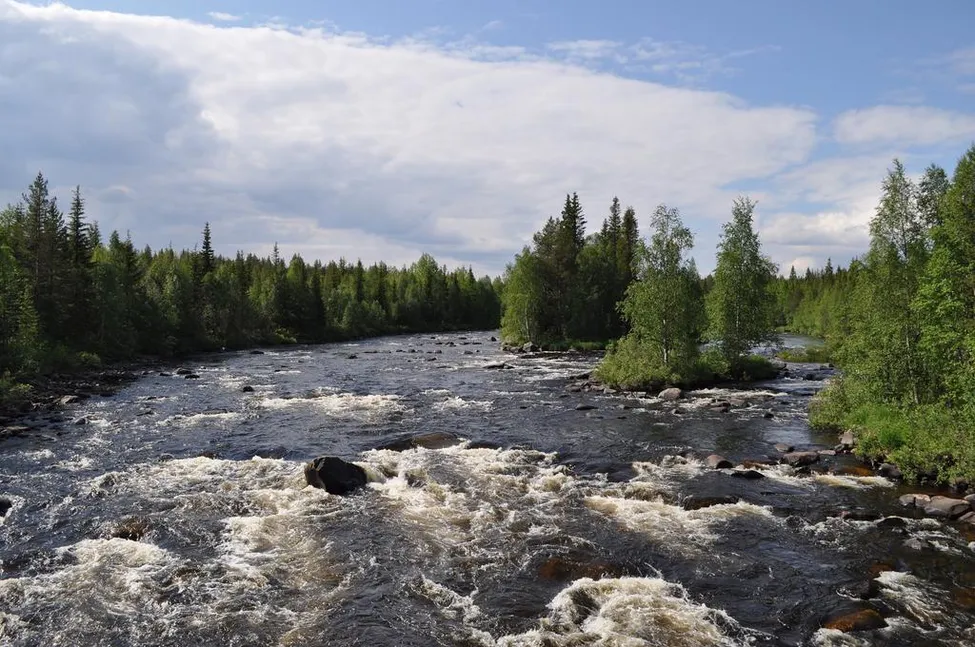 Klicka för att förstora