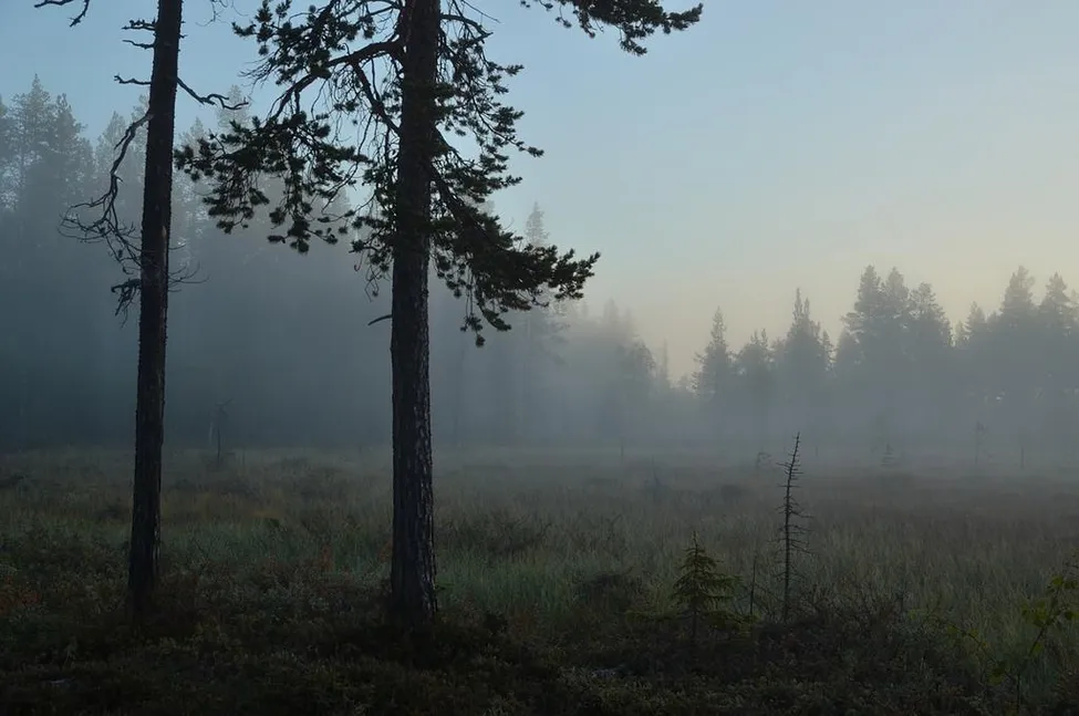 Klicka för att förstora