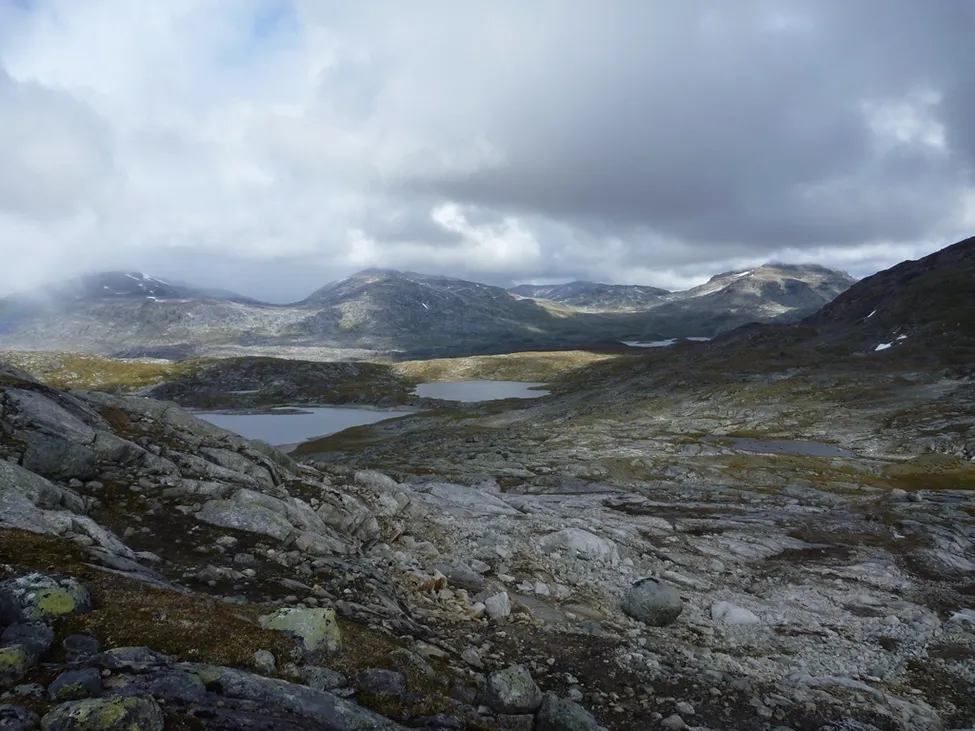 Klicka för att förstora