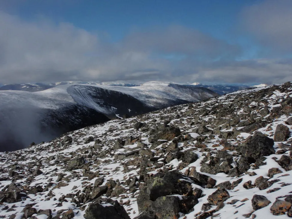 Klicka för att förstora