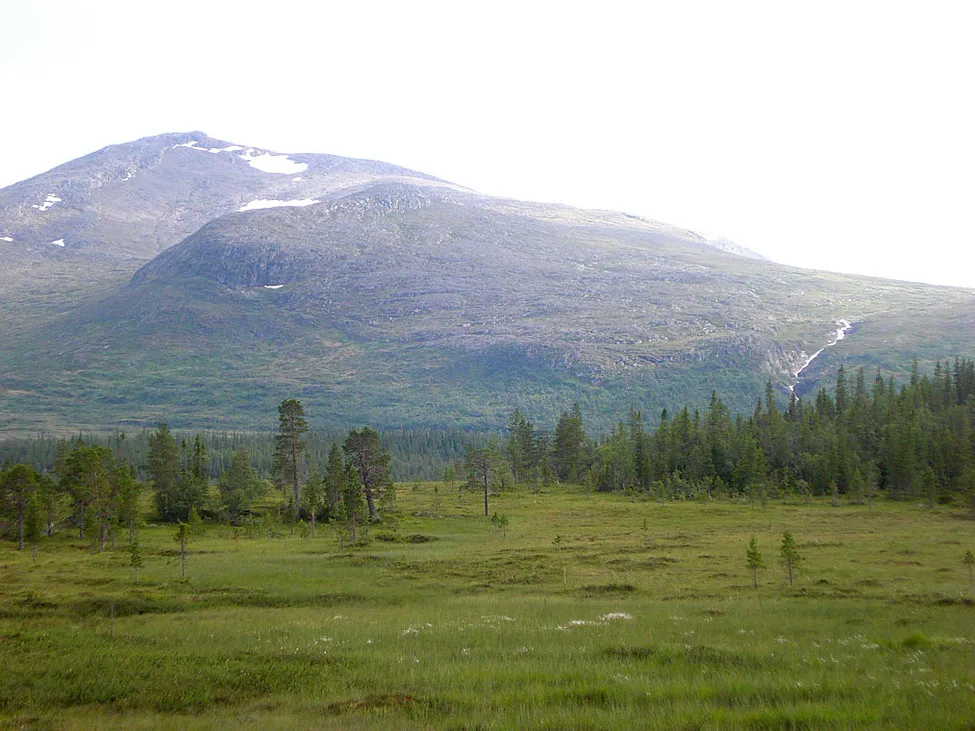 Klicka för att förstora