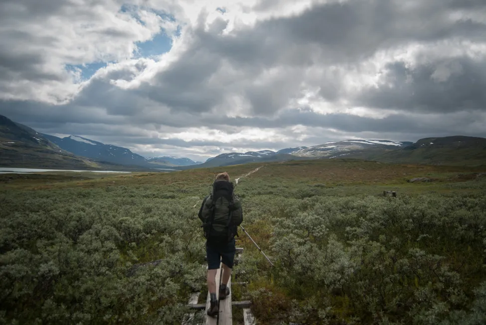 Klicka för att förstora