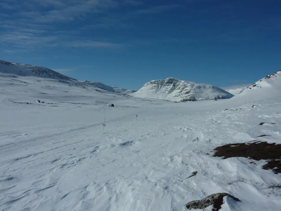Klicka för att förstora